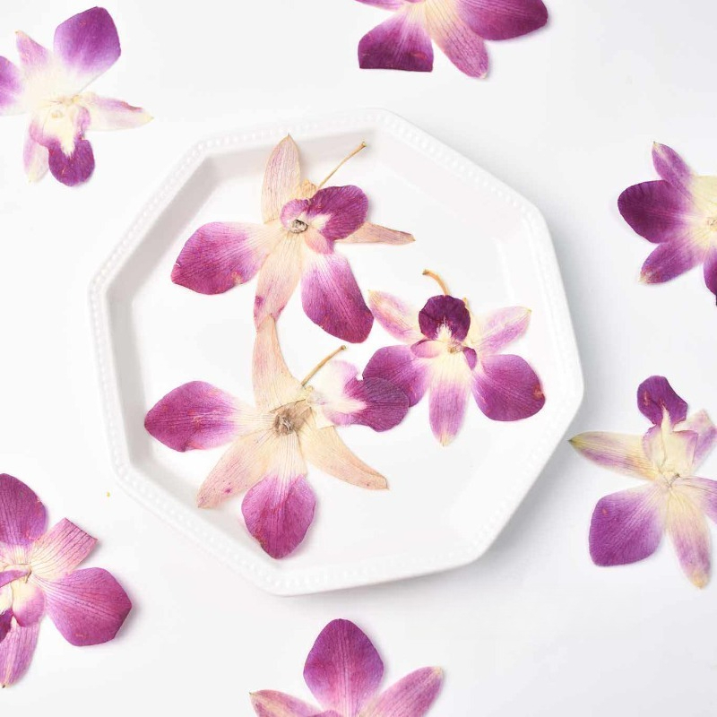 Resin Art Design - 4 szt., Prawdziwe, prasowane kwiaty orchidei